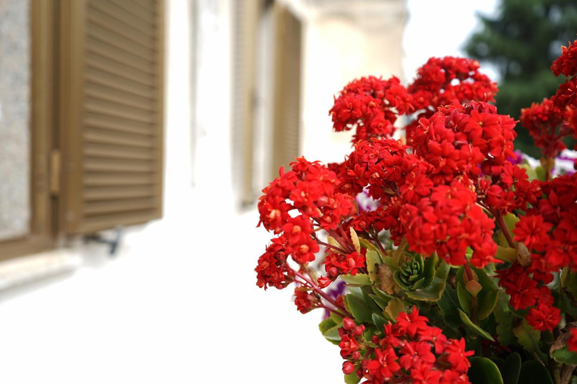 Ostuni Dream House Διαμέρισμα Εξωτερικό φωτογραφία